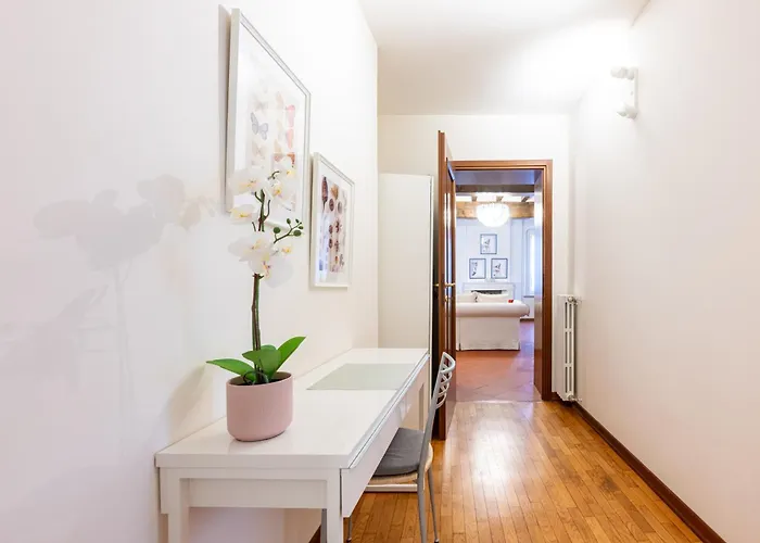 Large In The Historic Center Of